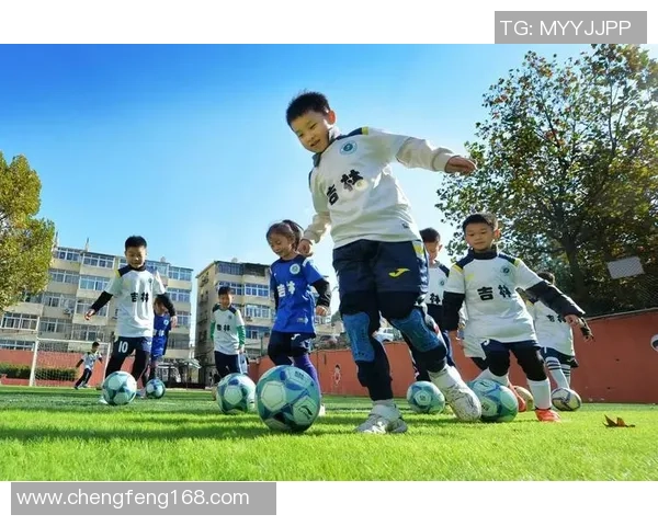 守卫绿茵场的足球明星们如何用激情与坚持书写传奇人生